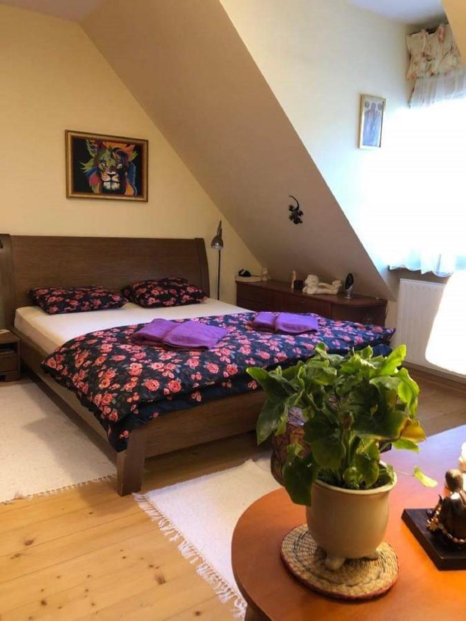 Willa Nad Popradem Piwniczna-Zdroj Exterior photo