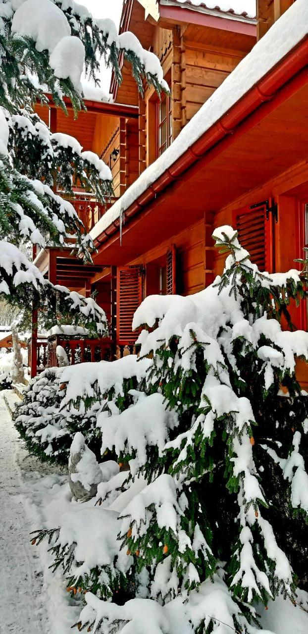 Willa Nad Popradem Piwniczna-Zdroj Exterior photo